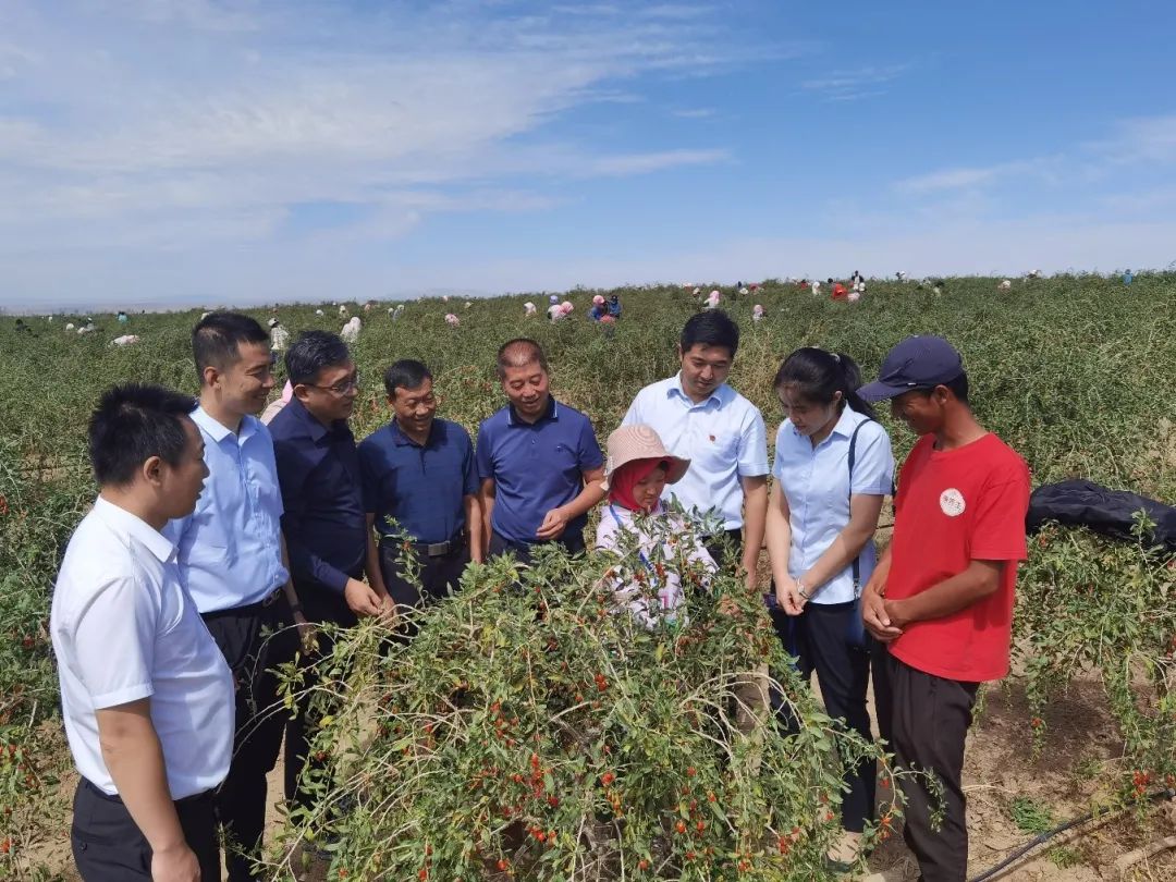 在如今这个信息化时代，POS机已经成为了商家日常经营活动中不可或缺的一部分。它不仅可以帮助商家完成收款、交易等功能，还能为商家提供各种交易数据的查询和管理。那么，如何查看POS机交易流水呢？本文将为您详细介绍。