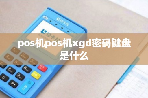 如何使用XGD POS机进行密码设置及操作指南