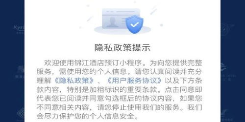 揭秘酒店访客记录，安全性与隐私权的较量