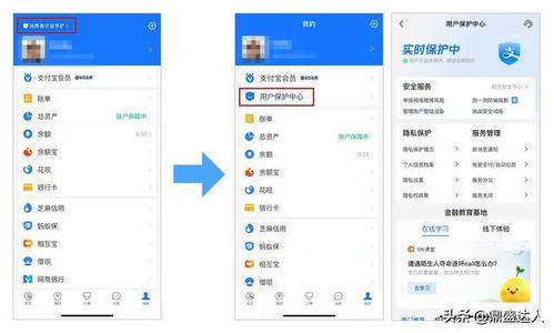 查酒店记录网站,揭秘酒店入住记录查询网站，隐私保护与信息安全的博弈
