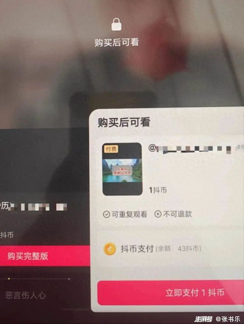 兰州抖音月付套出来,兰州抖音月付套出来，轻松解锁你的财富增长之路