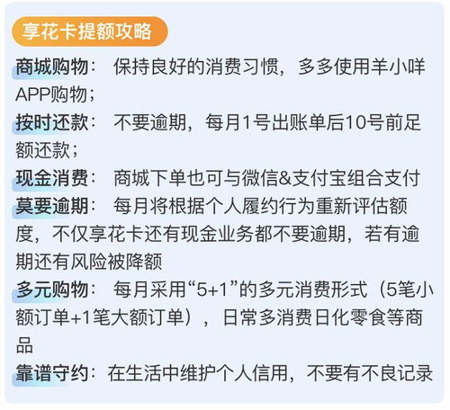 羊小咩套现被警察抓了,羊小咩套现被警察抓了，一起深入了解网络金融犯罪的警示案例