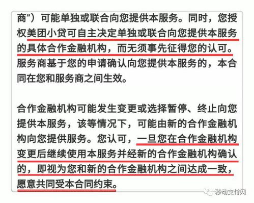 美团月付收款码套出来,揭秘美团月付收款码套现的真相