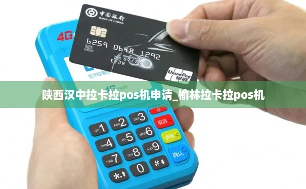 汉中拉卡拉POS机申请全攻略，轻松上手，助力商户经营