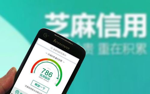 花呗额度如何兑现使用 花呗额度轻松变现，用钱不再愁！揭秘花呗额度使用攻略