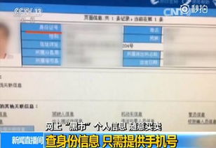在线查开房记录 在线查开房记录，一探隐私守护
