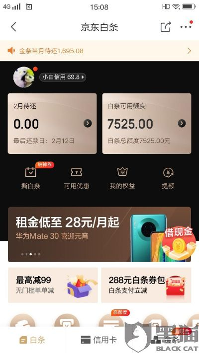 京东白条取现 新闻和体育 京东白条取现新闻与体育结合，体育热潮下的金融新篇章