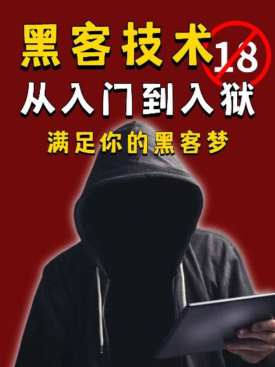 黑客24小时在线接单QQ免费 揭秘黑客24小时在线接单QQ免费，揭秘网络黑市的神秘面纱