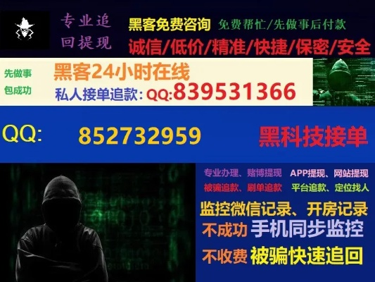 黑客24小时在线接单QQ免费 揭秘黑客24小时在线接单QQ免费，揭秘网络黑市的神秘面纱