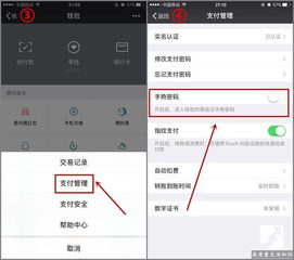 怎么知道别人微信密码，查看她的微信记录？揭秘微信密码与隐私保护