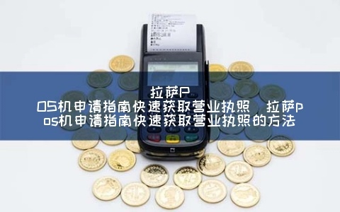 POS机申请拉萨公司全流程详解