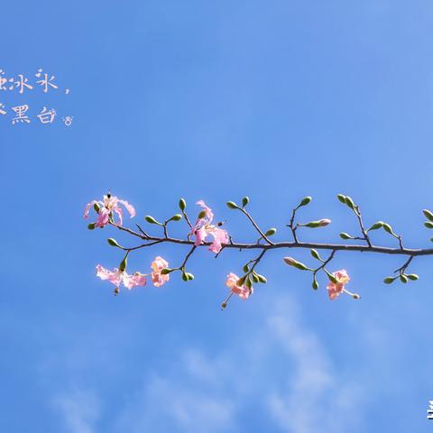 花呗套出来渠道有哪些 花呗套出来渠道大全