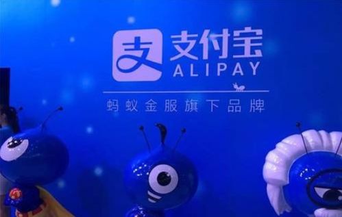花呗天取现 揭秘花呗天取现，安全还是陷阱？