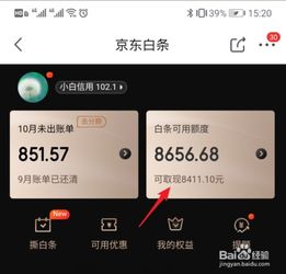 有什么方式可以京东白条提现 京东白条提现的几种方式及实用案例解析