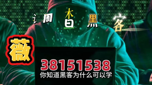 24小时在线接单的黑客追款 黑客追款风云，24小时在线接单的黑客传奇