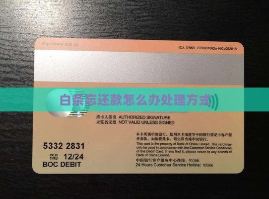 白条取现会被拒吗 白条取现申请遭拒案例分析