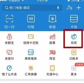 月花呗提现去哪了 月花呗提现最新动态，渠道探索与成果展示