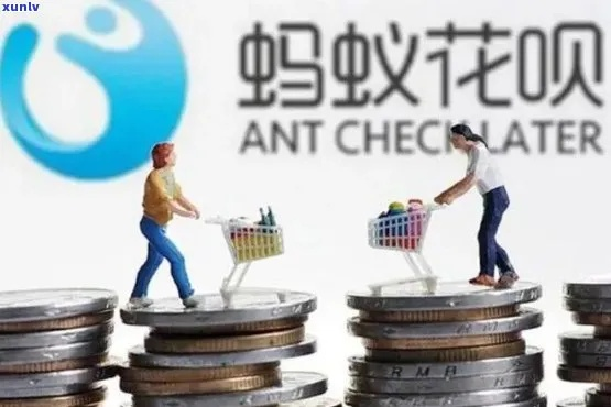 出纳私自写花呗子兑现 出纳私自操作花呗子兑现案例分析