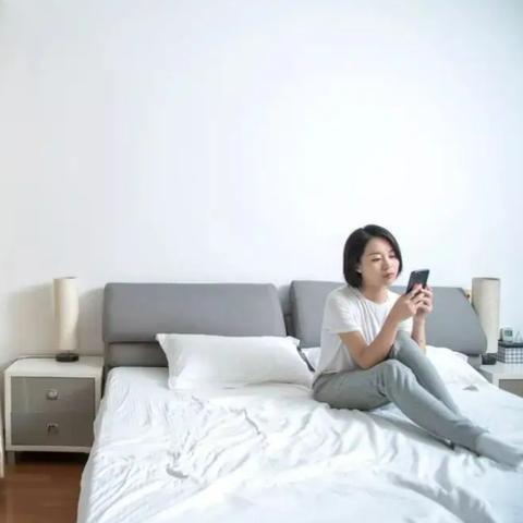 查开房2020 查开房2020揭秘网络色情产业现状与挑战