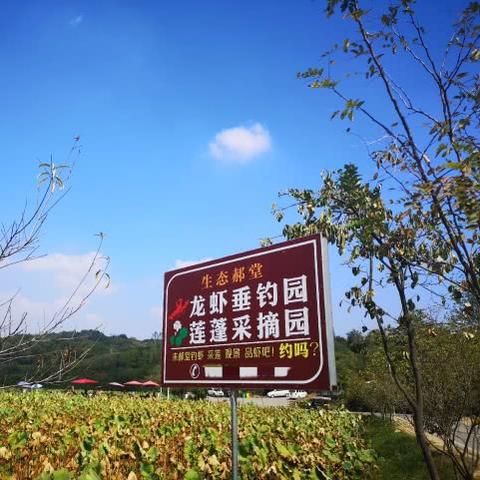 住宿记录公安保存几年 住宿记录公安保存几年—案例分析与规定解读