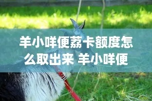羊小咩便荔卡怎么套出来?羊小咩便荔卡解锁攻略，轻松套出隐藏福利！