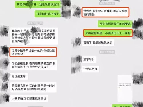 如何老婆的聊天记录 如何解读老婆的聊天记录，深度解析与案例分析
