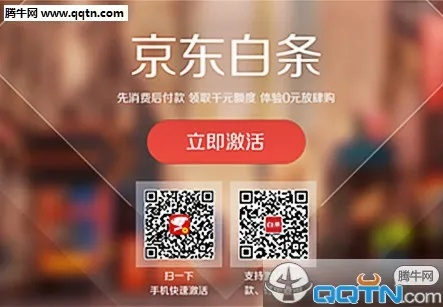 花无息京东白条怎样套出来 花无息京东白条套取攻略
