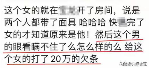 公安网查开房 揭秘公安网查开房，真相与案例解析