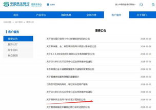 申请民生银行POS机申请流程与案例解析