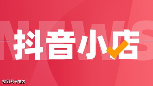 抖音月付商铺套出来平台有哪些 揭秘抖音月付商铺套出来平台，这些热门选择你了解吗？