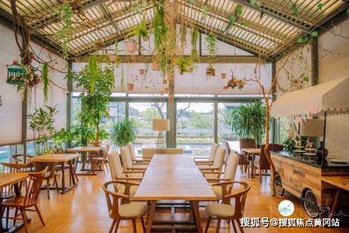 羊小咩便荔卡风购物套出来可靠吗 羊小咩便荔卡风购物套可靠吗？案例分析揭秘