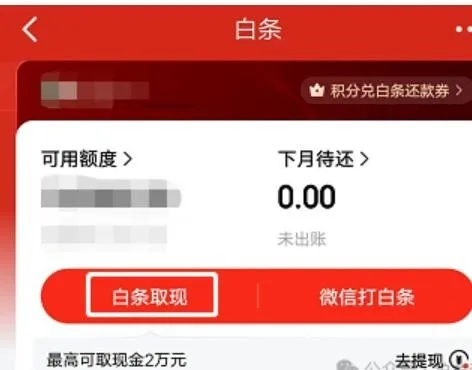 白条如何分期提现到 白条分期提现攻略，轻松掌握操作步骤