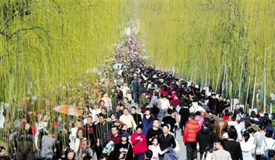 旅游白条机票套出来 旅游白条机票套现攻略