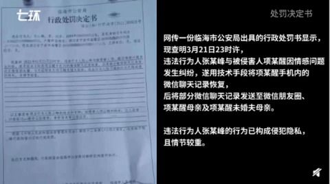 小三怎样查酒店记录 小三如何查酒店记录，揭秘技巧与案例分析