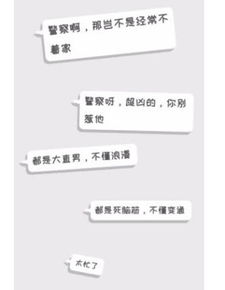 警察查开房记录 警察查开房记录，揭秘隐私与安全的边界