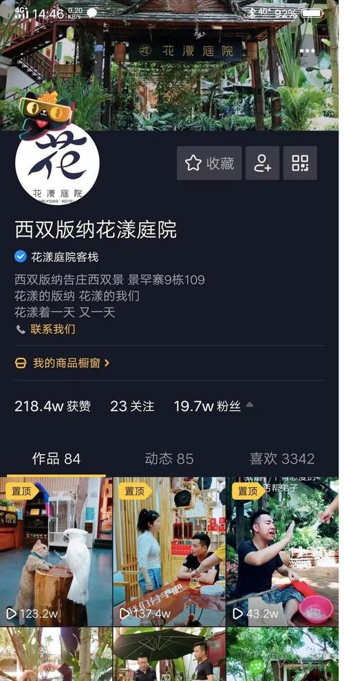 线下套出来抖音月付安全吗 线下套取抖音月付安全吗？案例分析与风险揭秘