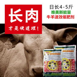 常德羊小咩便荔卡取现 常德羊小咩便荔卡，轻松取现，生活更便捷！