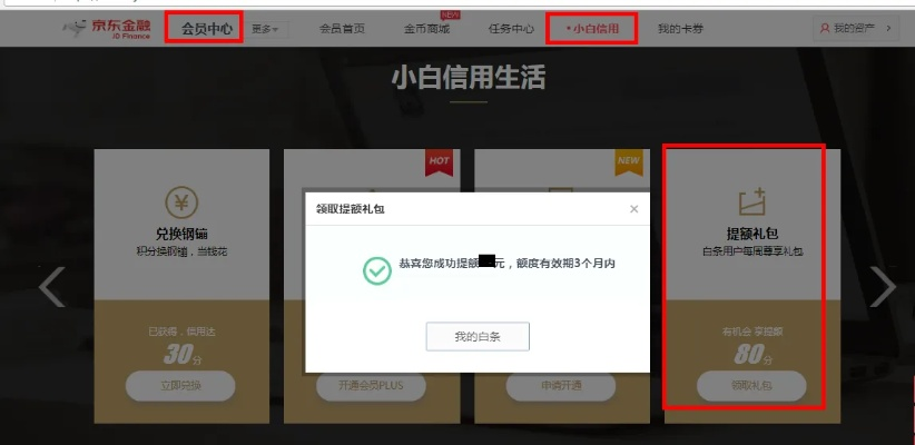白条取现开通条件 白条取现开通条件详解