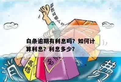 白条兑现要利息吗 白条兑现，利息那些事儿