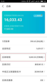 白条提现介绍发展历程 白条提现，从便捷支付到金融创新的演变之路