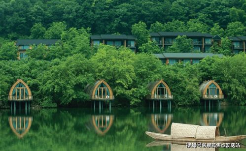 呼市pos机办理指南，电话、费用与案例解析