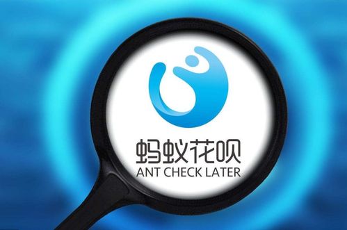 用闪电宝能提现花呗吗 关于闪电宝能否提现花呗的探讨