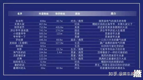 自己套出来抖音月付怎么做分录 抖音月付分录操作指南，轻松掌握财务处理技巧