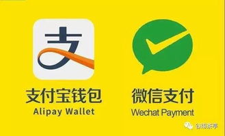 怎么自己提现京东白条 轻松掌握京东白条提现攻略，让你资金流转无忧