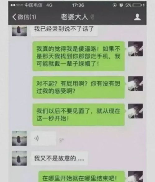 如何老婆出轨聊天記录 夫妻忠诚的界限，揭秘婚姻中的不忠现象