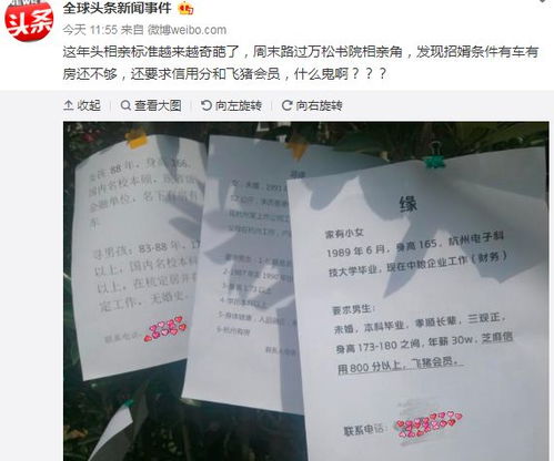 相亲互查开酒店记录 相亲互查开酒店记录，深度探索与案例分析