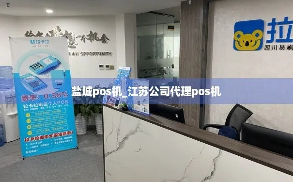 盐城个人POS机申请网站推荐与案例分析