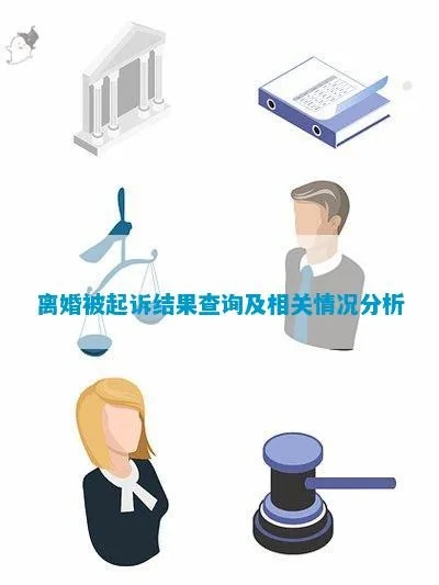 诉讼离婚查酒店记录 诉讼离婚查酒店记录，深度解析与案例分析