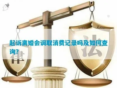 诉讼离婚查酒店记录 诉讼离婚查酒店记录，深度解析与案例分析