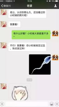 揭秘微信聊天记录的秘密，如何查看别人的微信聊天？
